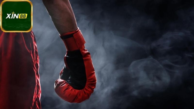 Lợi ích và rủi ro khi cá cược boxing trên Xin88