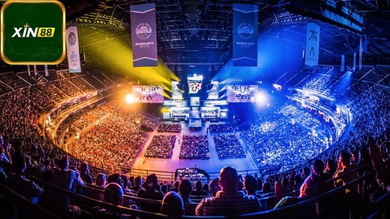 Giới thiệu về Cá cược eSports trên Xin88