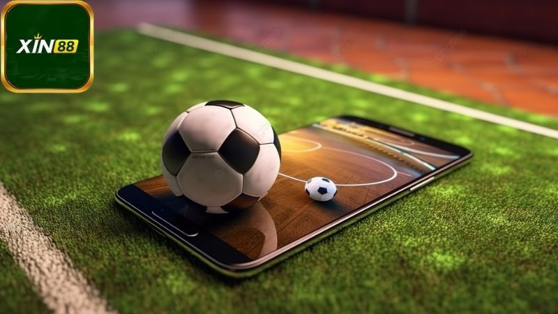 Lưu ý quan trọng và mẹo hay khi tham gia