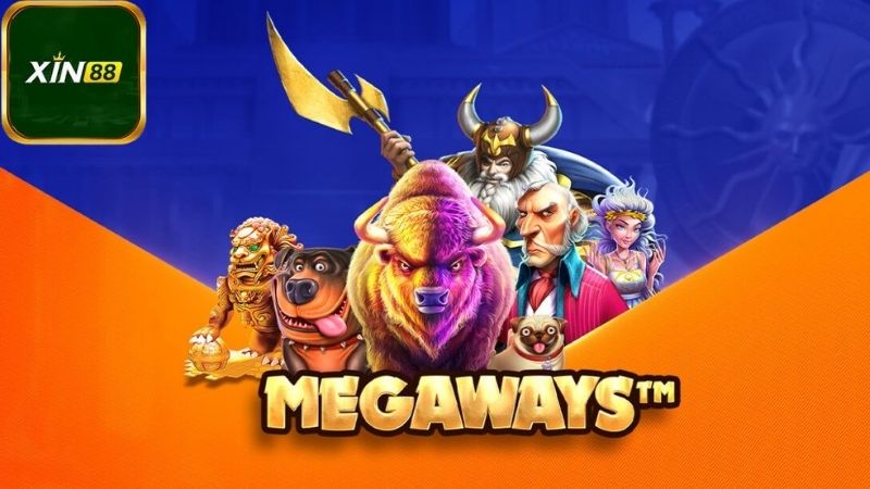 Định nghĩa và Giải thích cơ bản